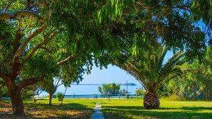 A pathway leading to a body of water, surrounded by trees and a fence. - Xi Village (Kefalonia)