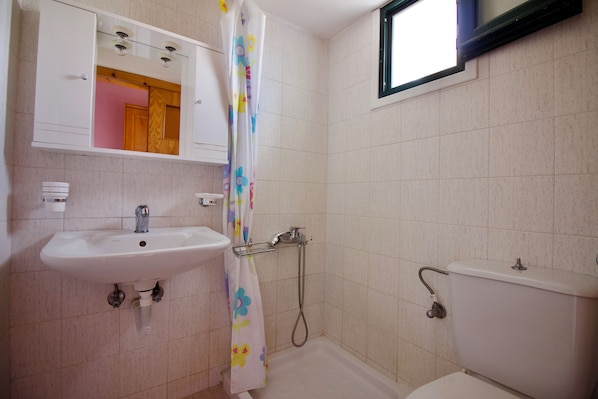 Une salle de bain équipée d’un lavabo, d’un miroir, d’une douche et de toilettes.