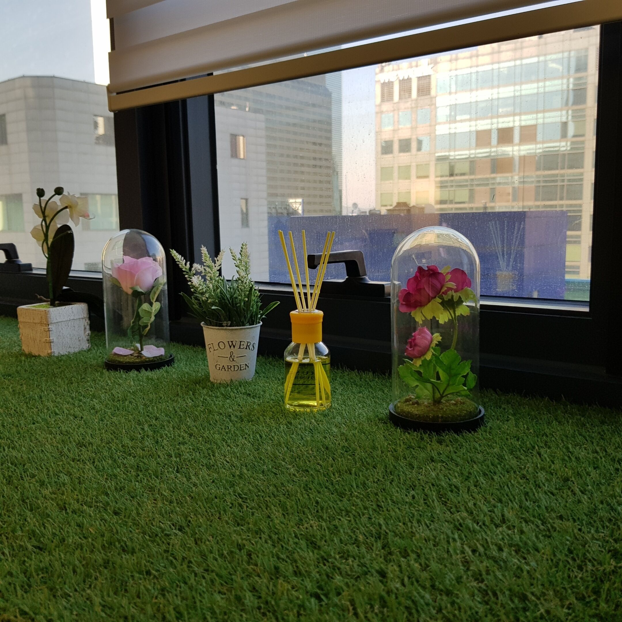 Una finestra con vista sulla città, una pianta in vaso, una cupola di vetro con fiori e un piccolo contenitore con un'etichetta.