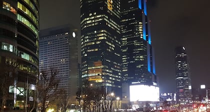 KPOP Coex Gangnam Stay