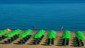 Une plage bordée de rangées de parasols verts et de chaises de plage.