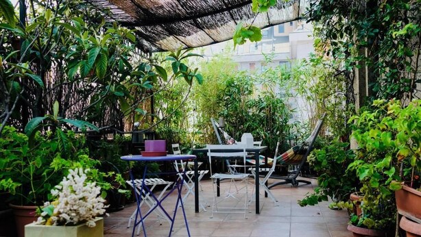 Un área de patio al aire libre con una mesa y sillas, rodeada de plantas en macetas y una estructura de techo de paja.