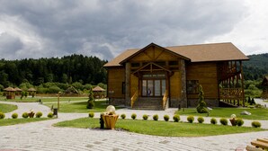 Exterior detail - TAOR Karpaty (Lastivka)