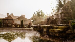 Property grounds - TAOR Karpaty (Lastivka)