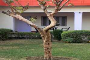 Garden - Hotel Goverdhan Tourist Complex (Kiraoli)