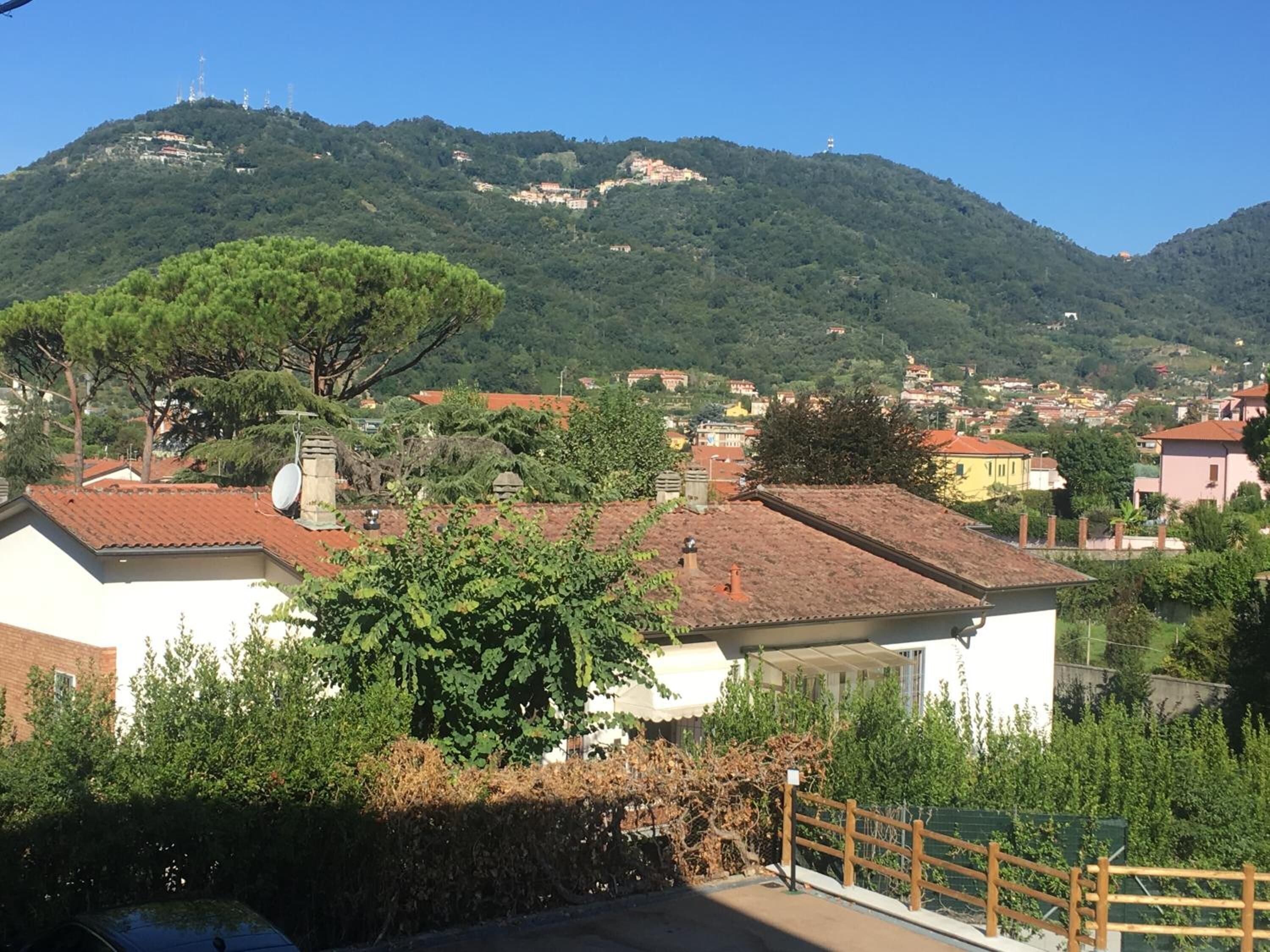 A residential area with houses, a large tree, and a mountain in the background.