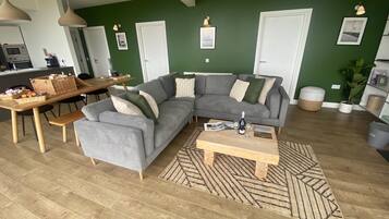 TV, fireplace, DVD player