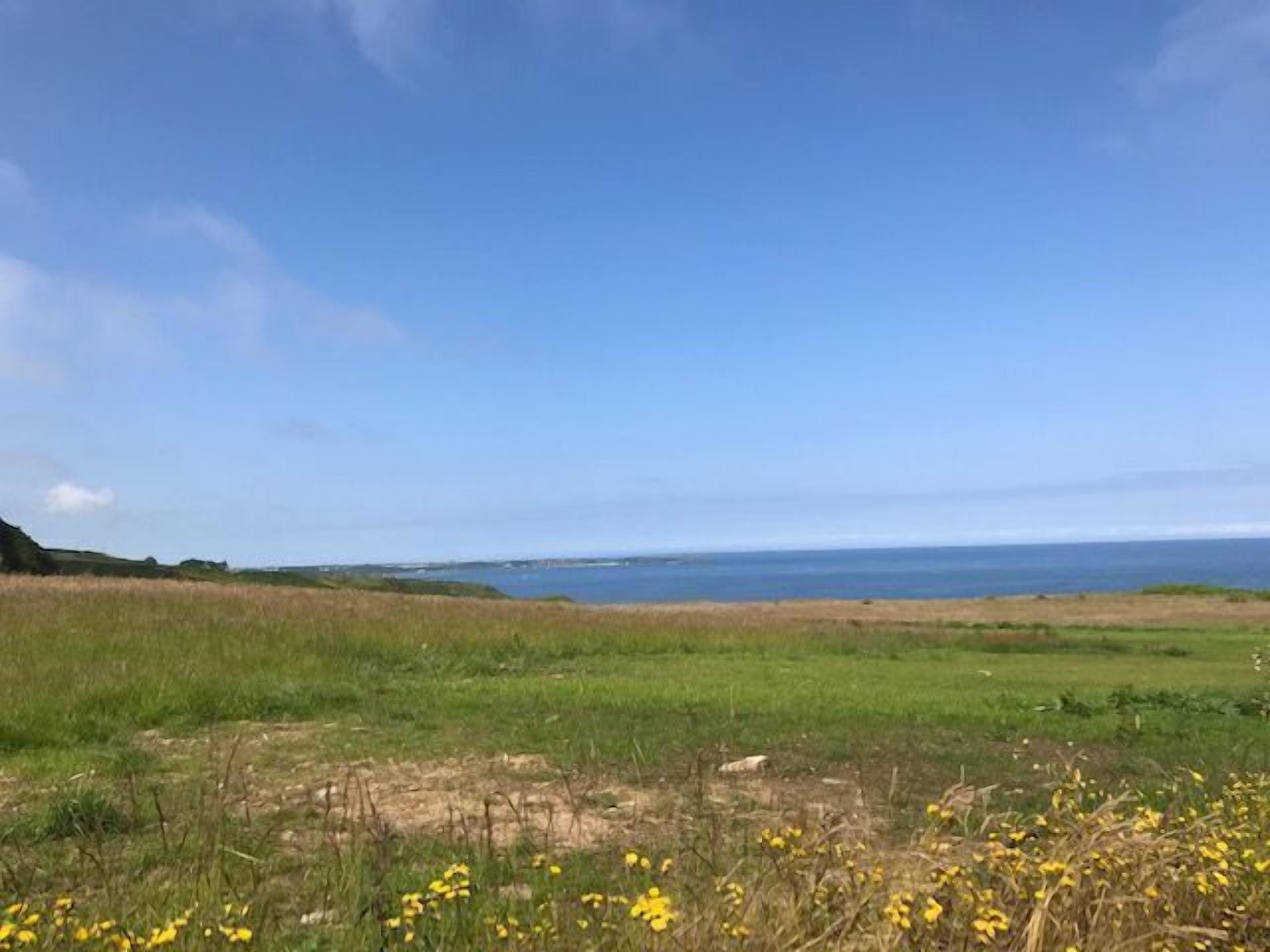 Eine Küstenlandschaft mit einer grünen Wiese, einem Gewässer und blauem Himmel.