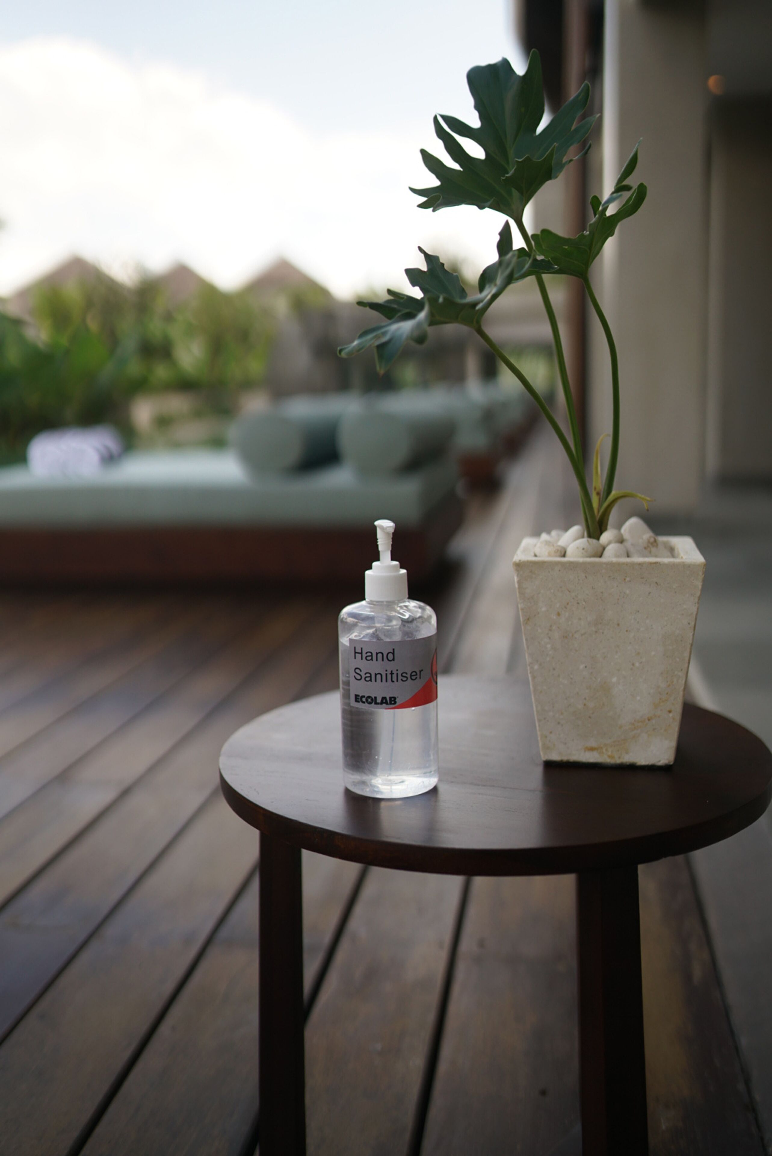 A hand sanitizer bottle and a potted plant on a round wooden table.