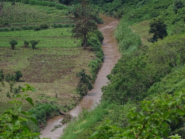 Paisaje rural con un estrecho canal de agua serpenteando entre campos en terrazas y abundante vegetación.