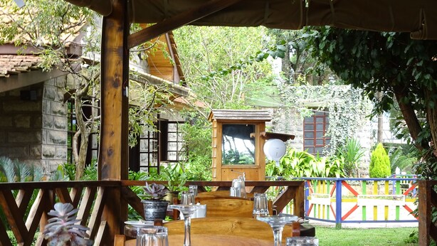Un espace de restauration en plein air avec une table en bois, des plantes en pot et une vue sur un bâtiment rustique et une végétation luxuriante.