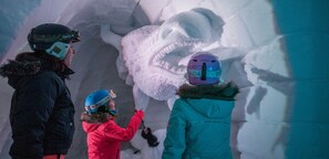 Een groep mensen in winterkleding die een grote ijs sculptuur bekijken.
