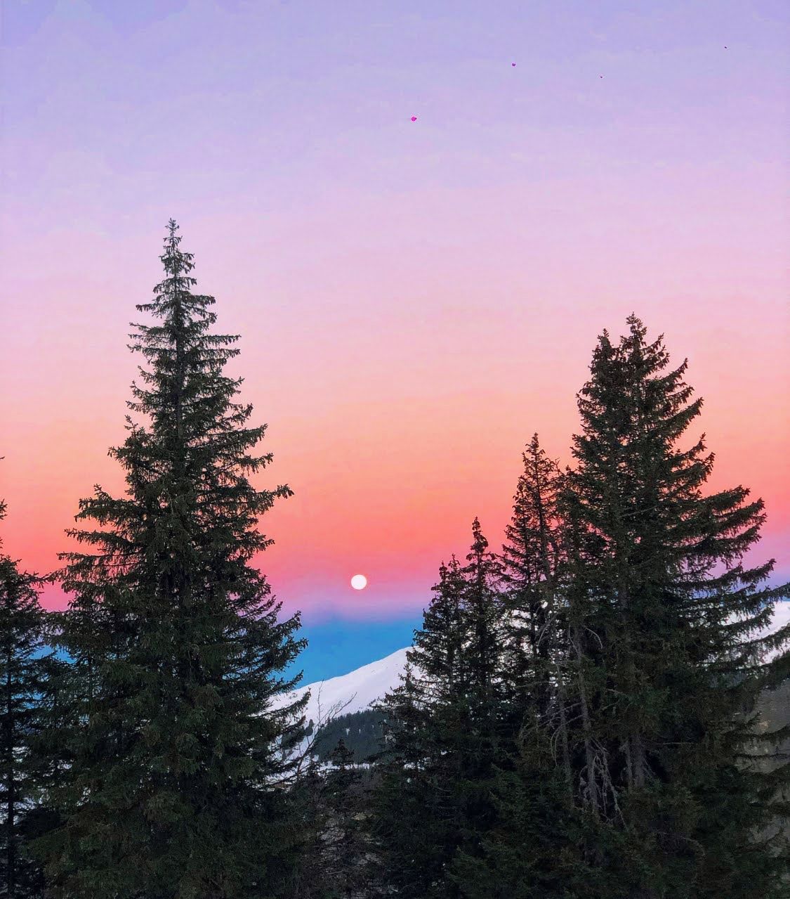 Un paysage boisé, avec une montagne en arrière-plan et une lune dans le ciel.