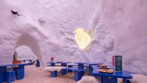 An igloo-shaped interior with blue tables and benches, a wooden floor, and a glowing light feature on the wall.