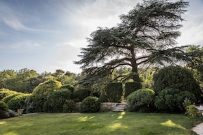 Property grounds - La bastide de Ganay (Aix-en-Provence)