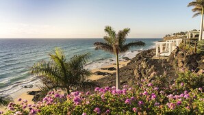 A coastal hotel with a beach view, rocky terrain, and a palm tree. - Royal Palm Resort & Spa - Adults Only (Pajara)