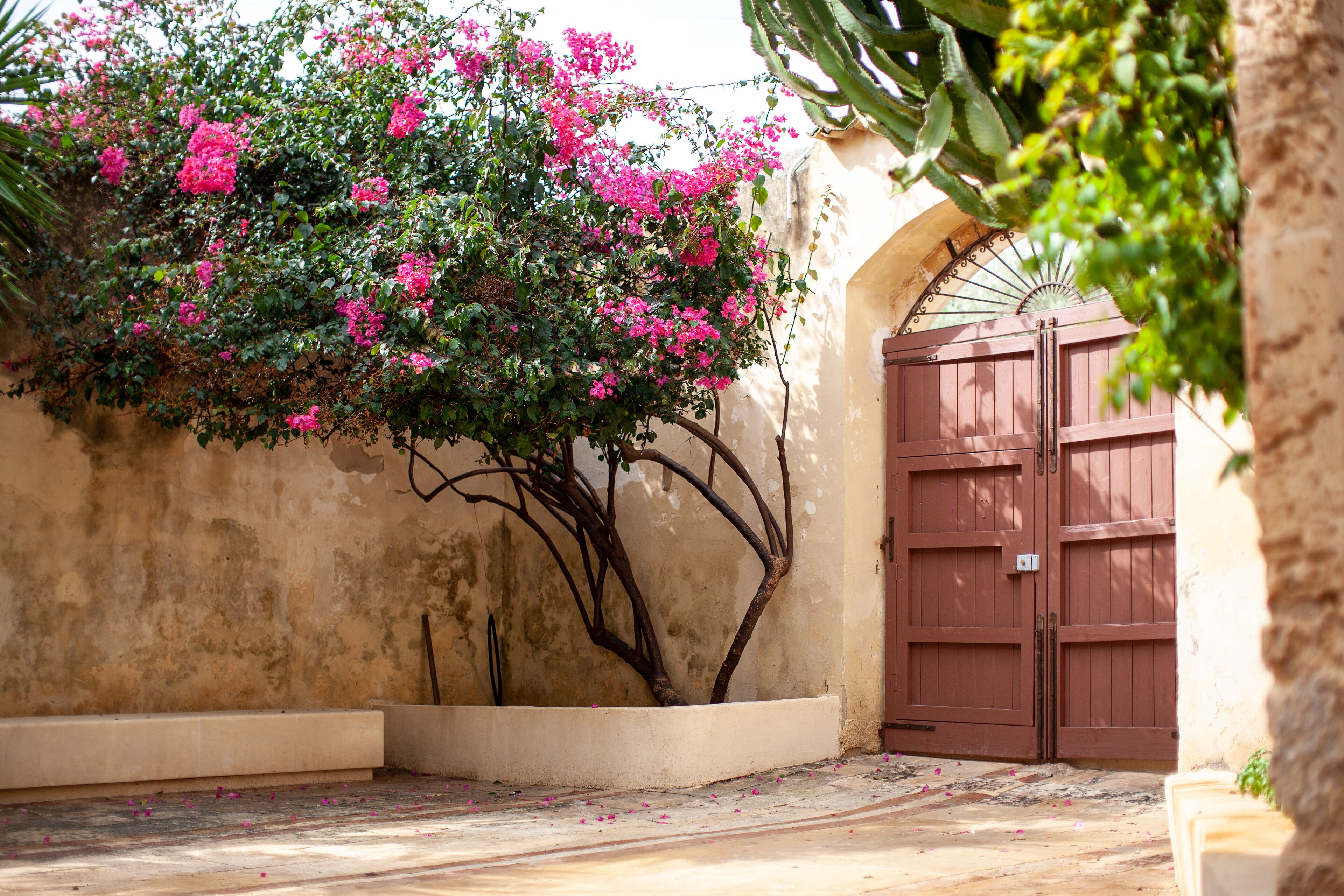 Photo - Terre di Romanello Relais in Val di Noto