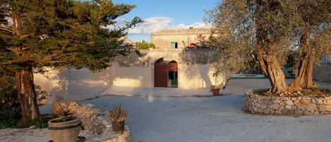 A courtyard with a stone wall, a potted plant, and a building with a red door.