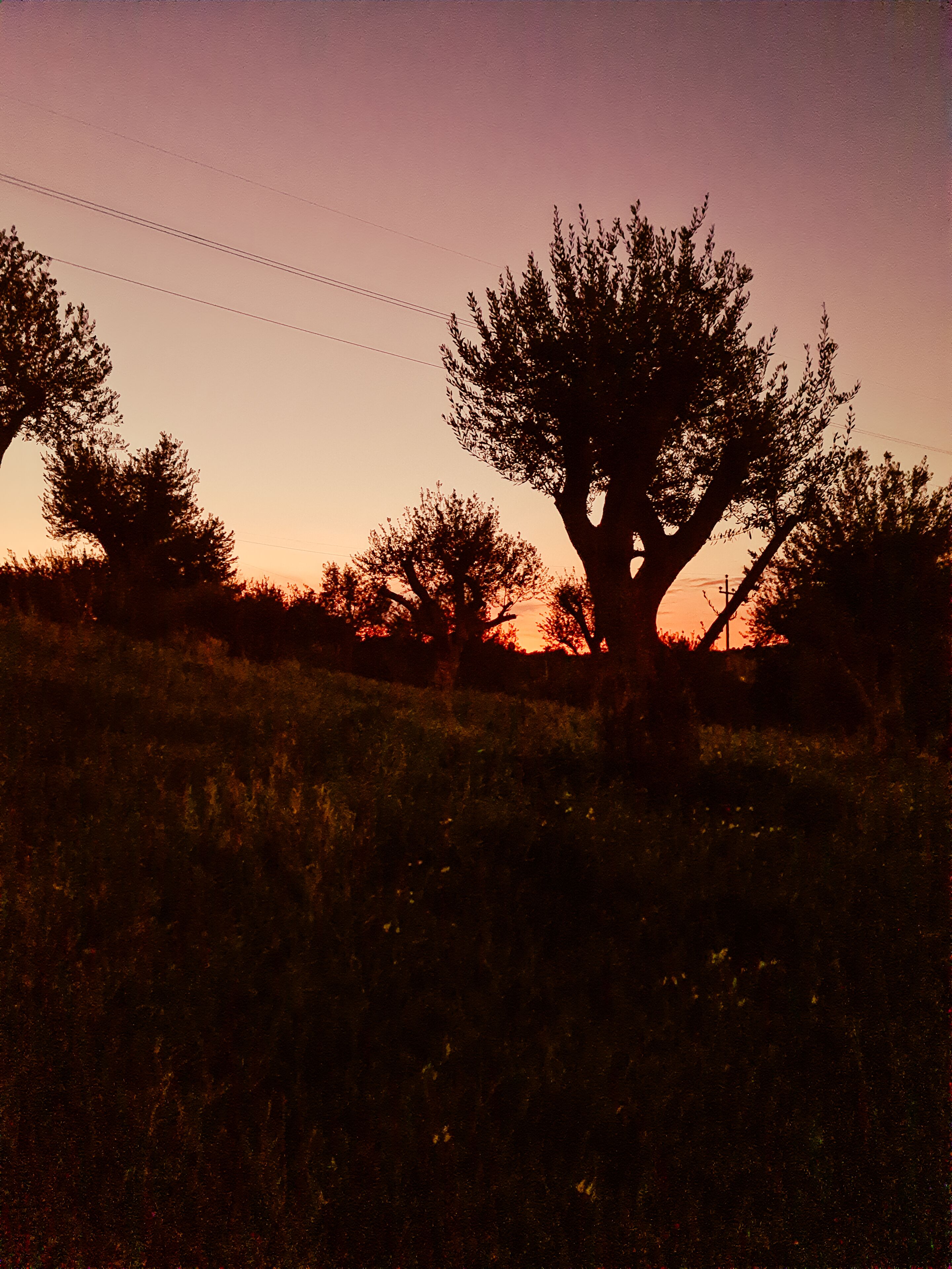 Foto - Relais Terre di Romanello
