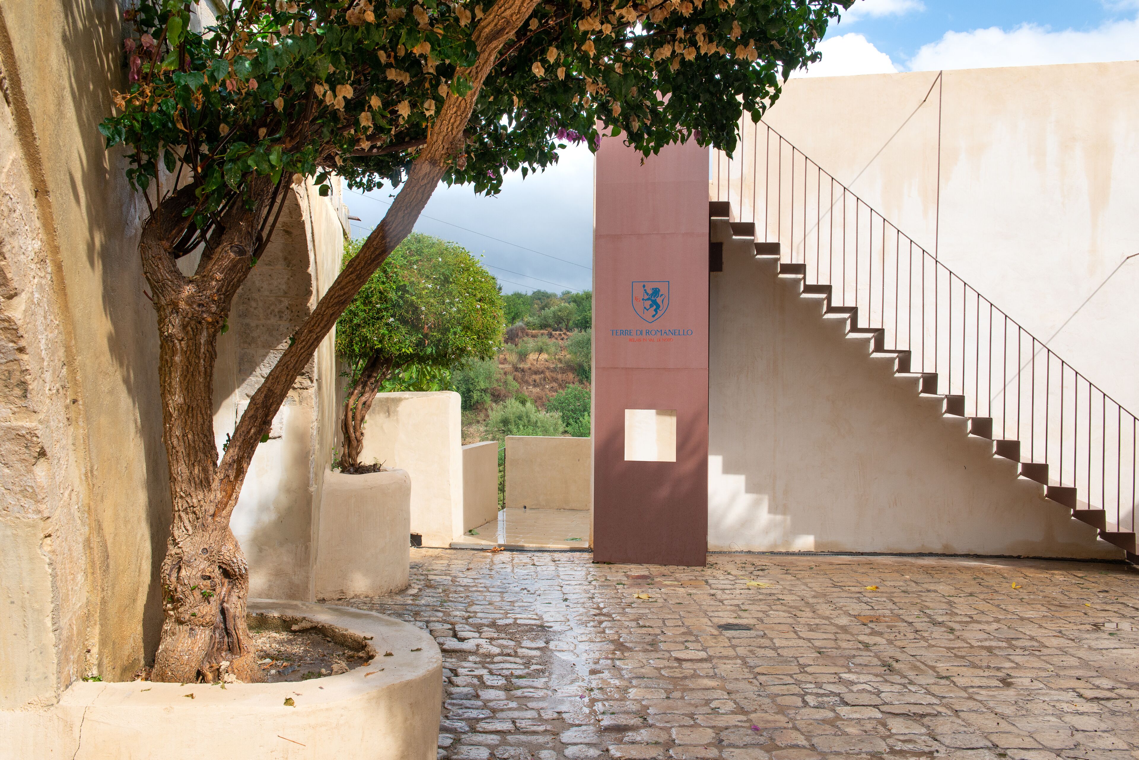 A stone pathway leading to a staircase with a tree and a building entrance.