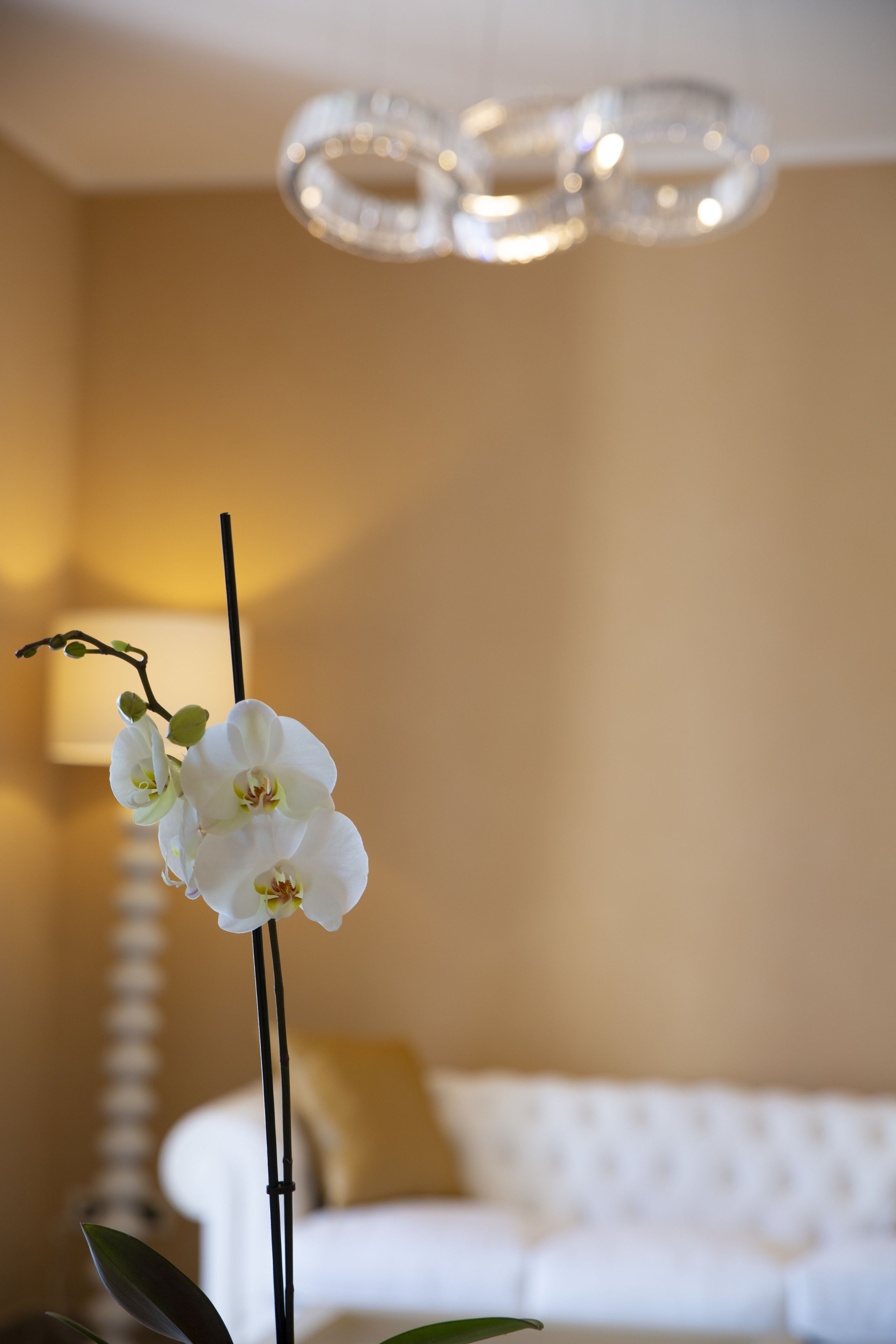 Photo - Aurum Suites