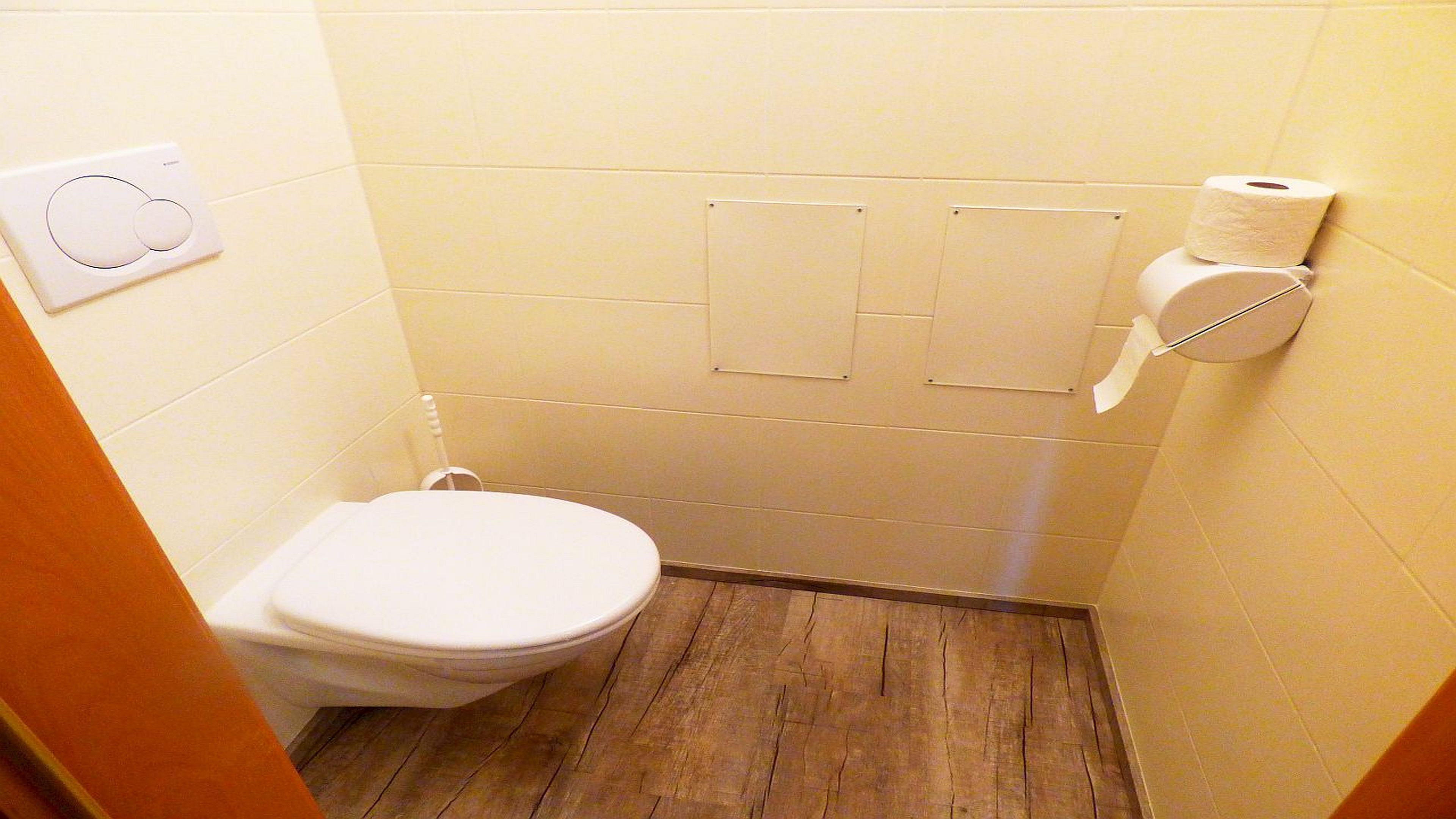 A small bathroom with a toilet, wooden flooring, and a wall-mounted toilet paper holder.