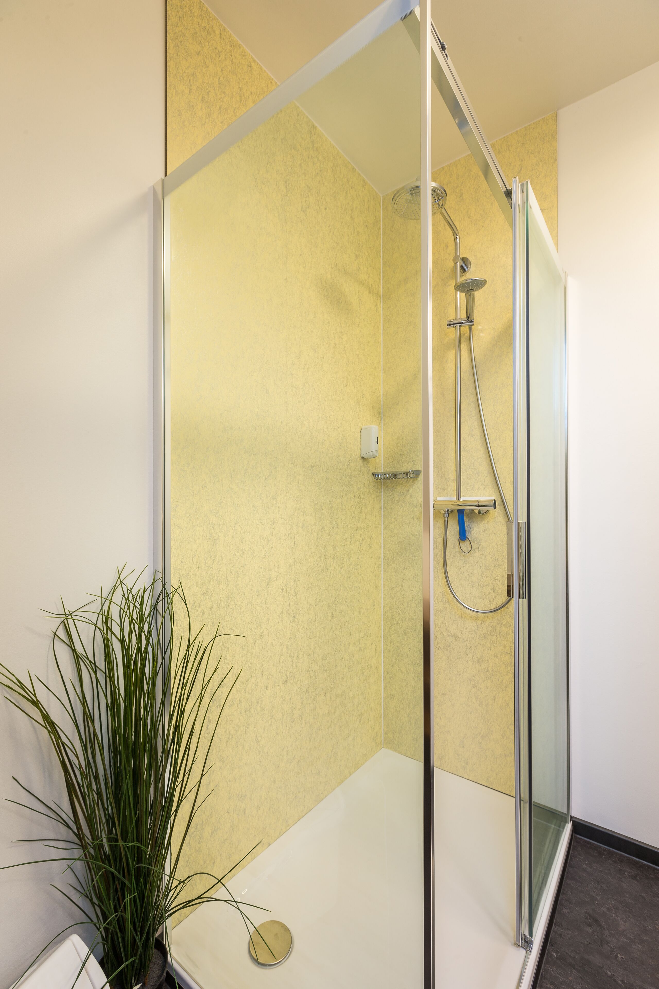 Ein modernes Badezimmer mit einer gläsernen Dusche, einem Blumentopf und einem weißen Waschbecken.