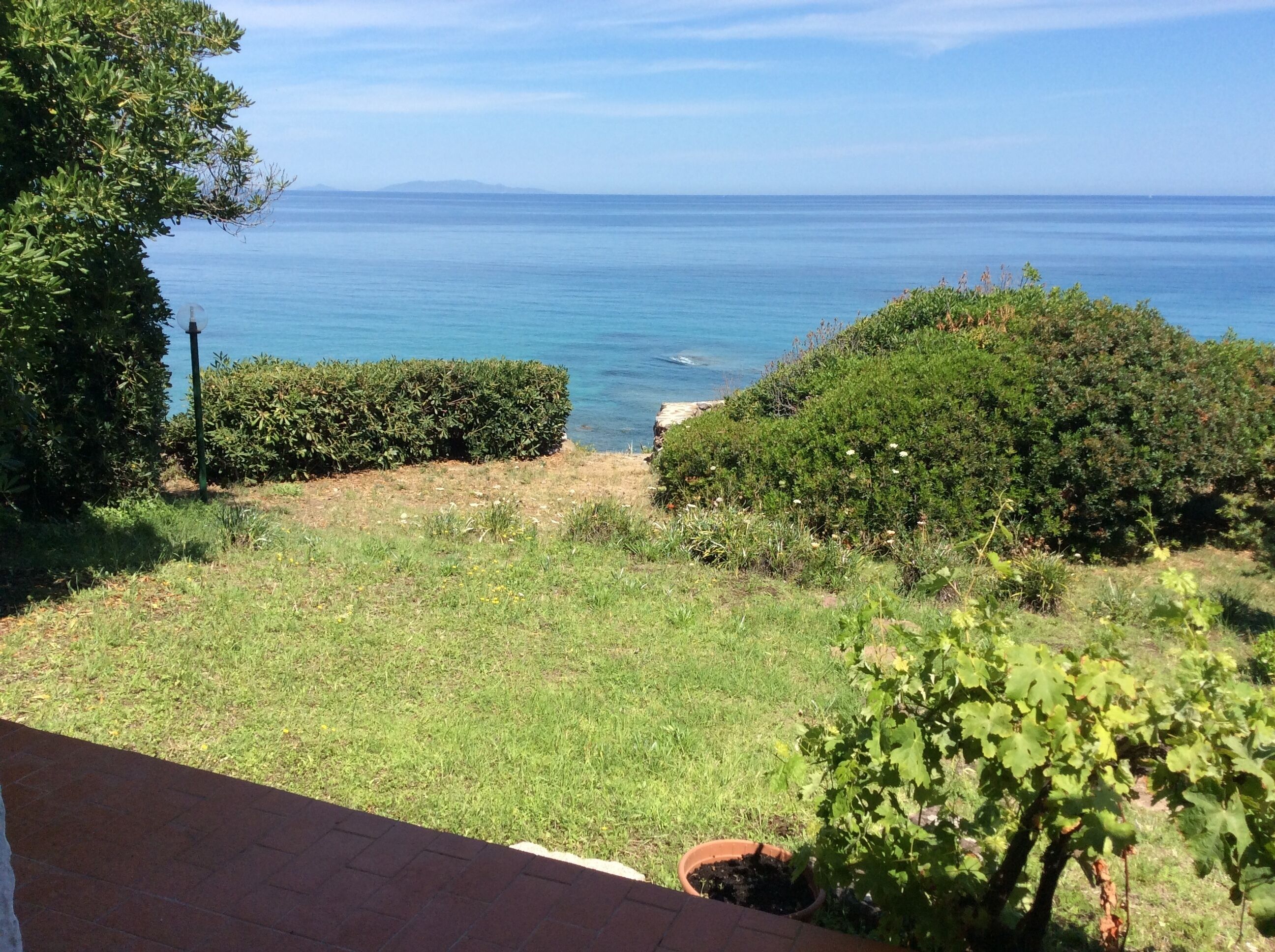 Un jardin avec vue sur la mer, une zone pavée et une plante en pot.
