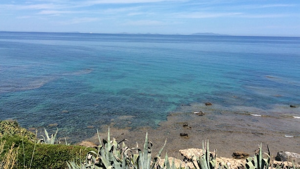A coastal landscape with clear turquoise waters, rocky shoreline, and sparse vegetation. - Villa on the sea in Punta Tramontana with an exclusive view of the Gulf of Asinara (Punta Tramontana (Castelsardo))