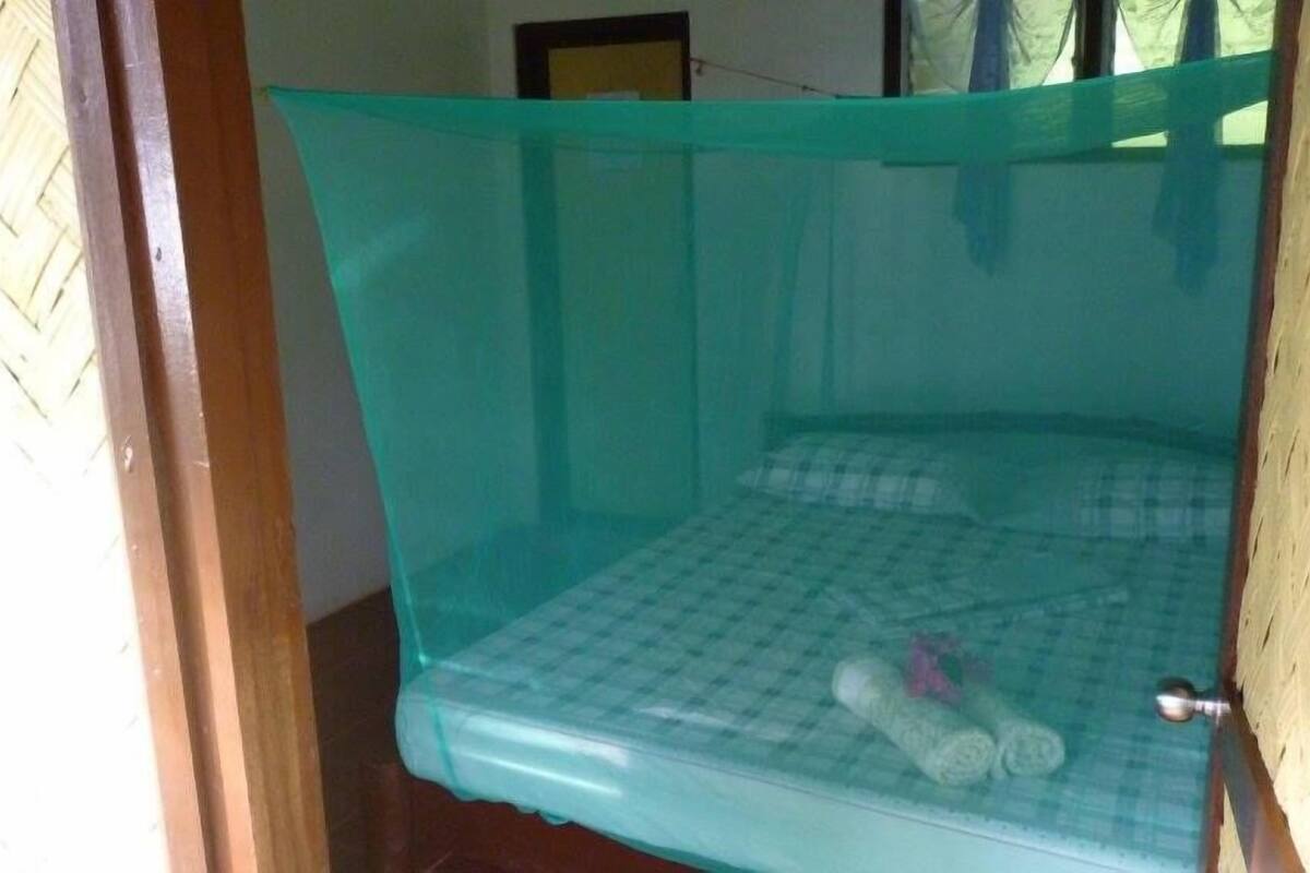 A room with a mosquito net over a bed, a window with a wooden frame, and a door with a woven mat.