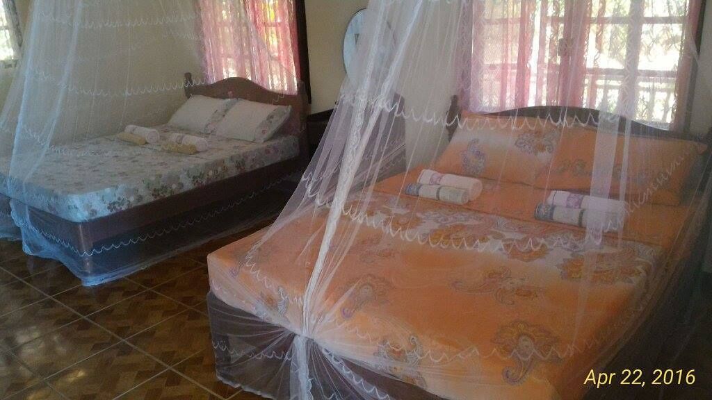 Two beds with mosquito nets, one with a floral bedspread and the other with a patterned one.