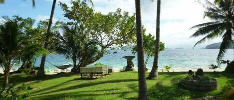 Un jardín tropical con un banco, palmeras y vista al mar.