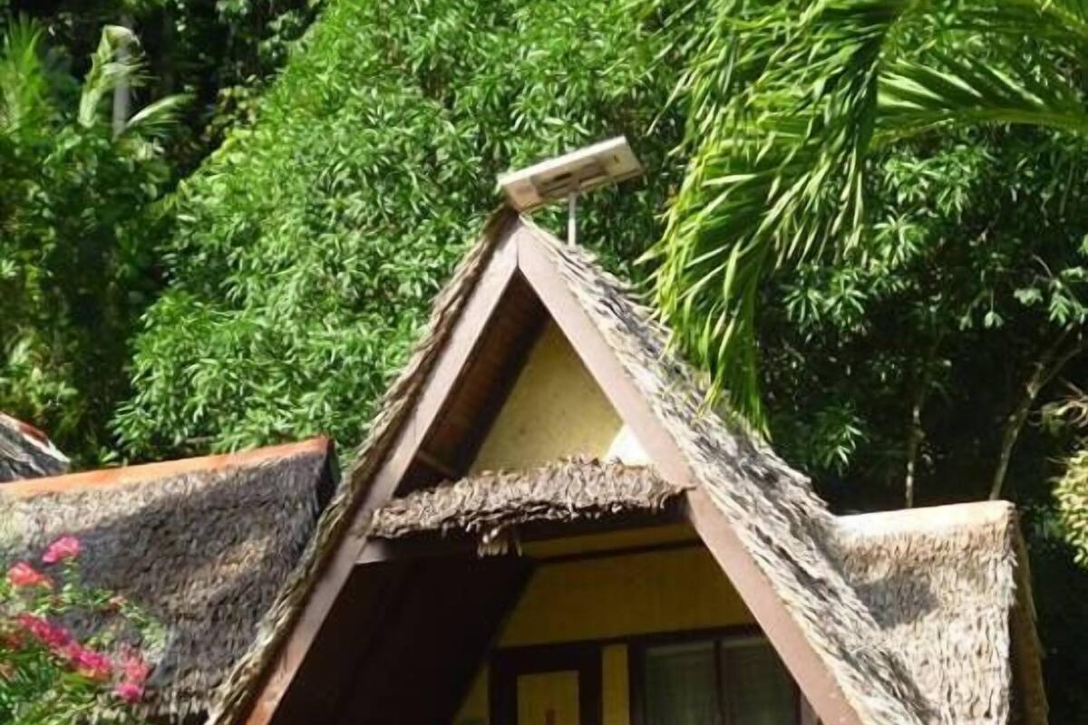 A thatched-roof house with a wooden staircase leading to a balcony.