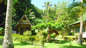 บังกะโล, 1 ห้องนอน, ปลอดบุหรี่, วิวสวน | วิวจากห้องพัก