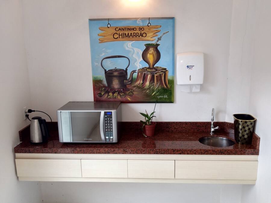 Una cocina con microondas, un lavamanos, una planta en maceta y un cuadro de un chimarrón.