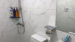 Shower, free toiletries, hair dryer, towels