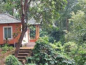 Exterior detail - Jungle Valley Resort (Vythiri)