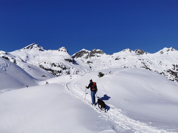 A snowy mountain landscape with a person and a dog walking on a trail.