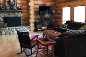 TV connectée, cheminée, lecteur de DVD, livres