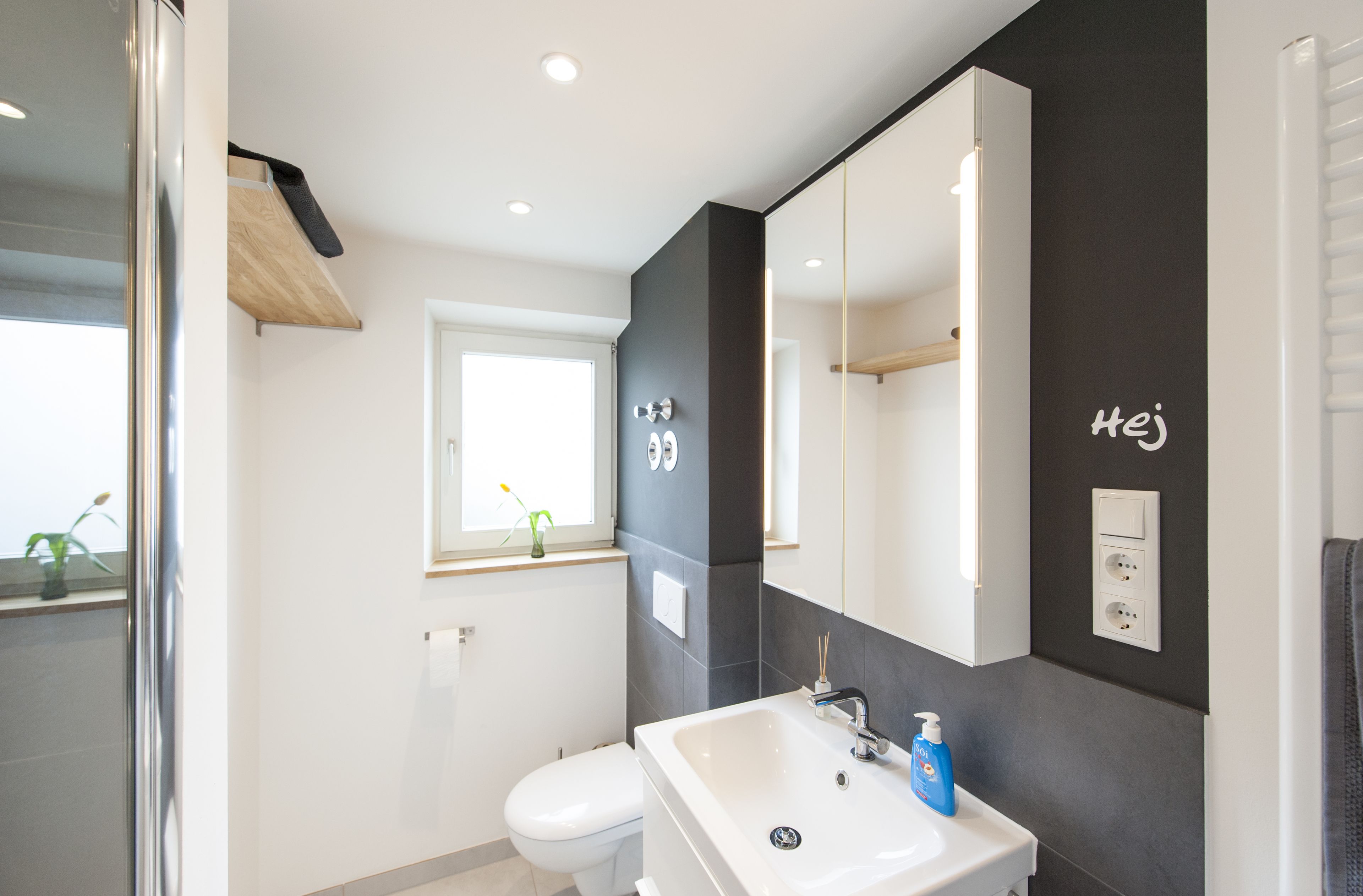 Une salle de bain moderne avec un lavabo blanc, un mur foncé et une fenêtre agrémentée d’une plante.