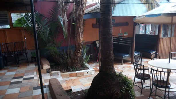 Ein Außenbereich mit Terrasse, Fliesenboden, einer Palme und Gartenmöbeln, darunter Tische und Stühle.