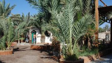 Khuôn viên nơi lưu trú