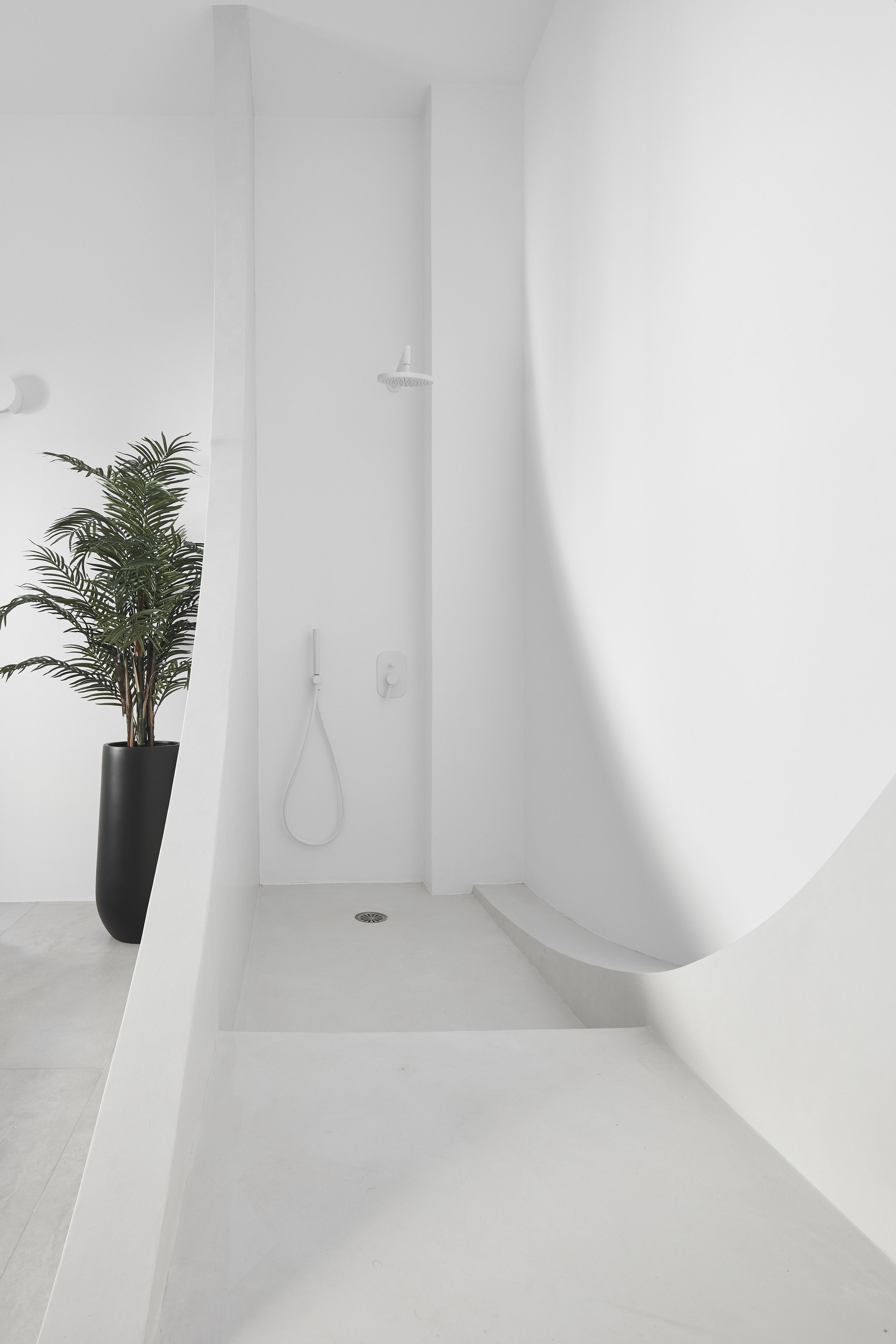 A modern bathroom with a shower, a potted plant, and a white sink.