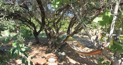 GĂźte T6 dans verger Ă 10 kms de la mer