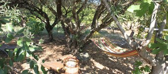 Gîte A Malba T6 with orchard 10 kms from the sea