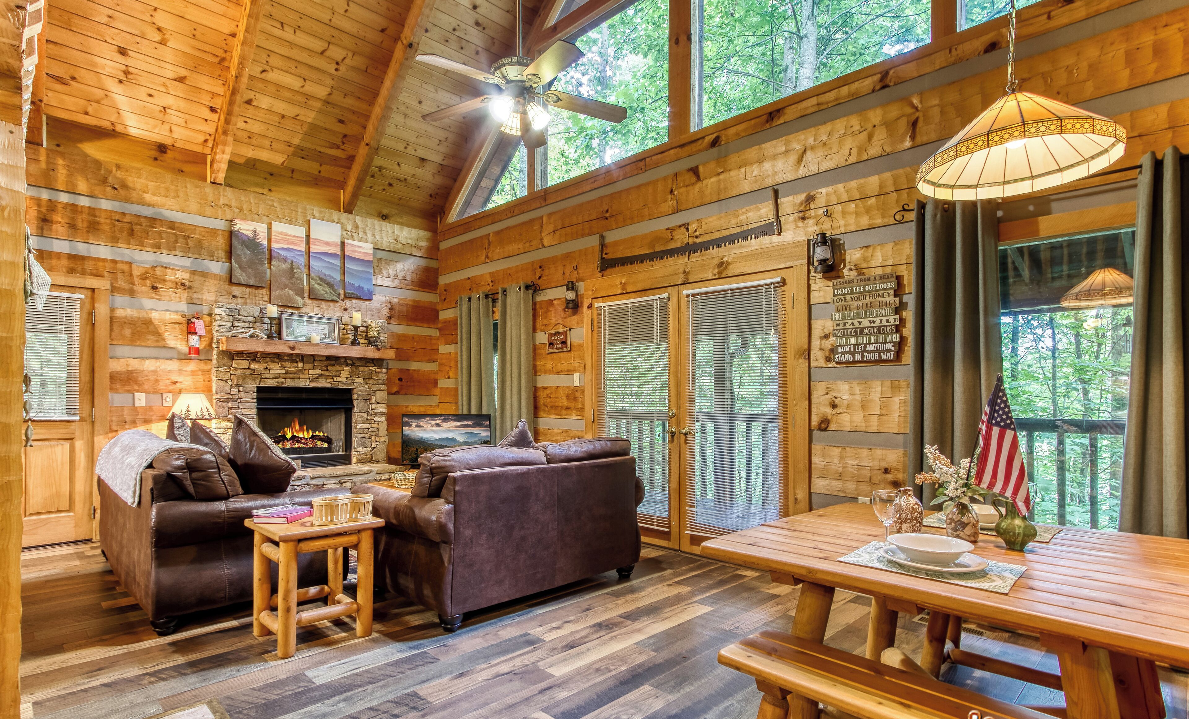 Fireplace, DVD player