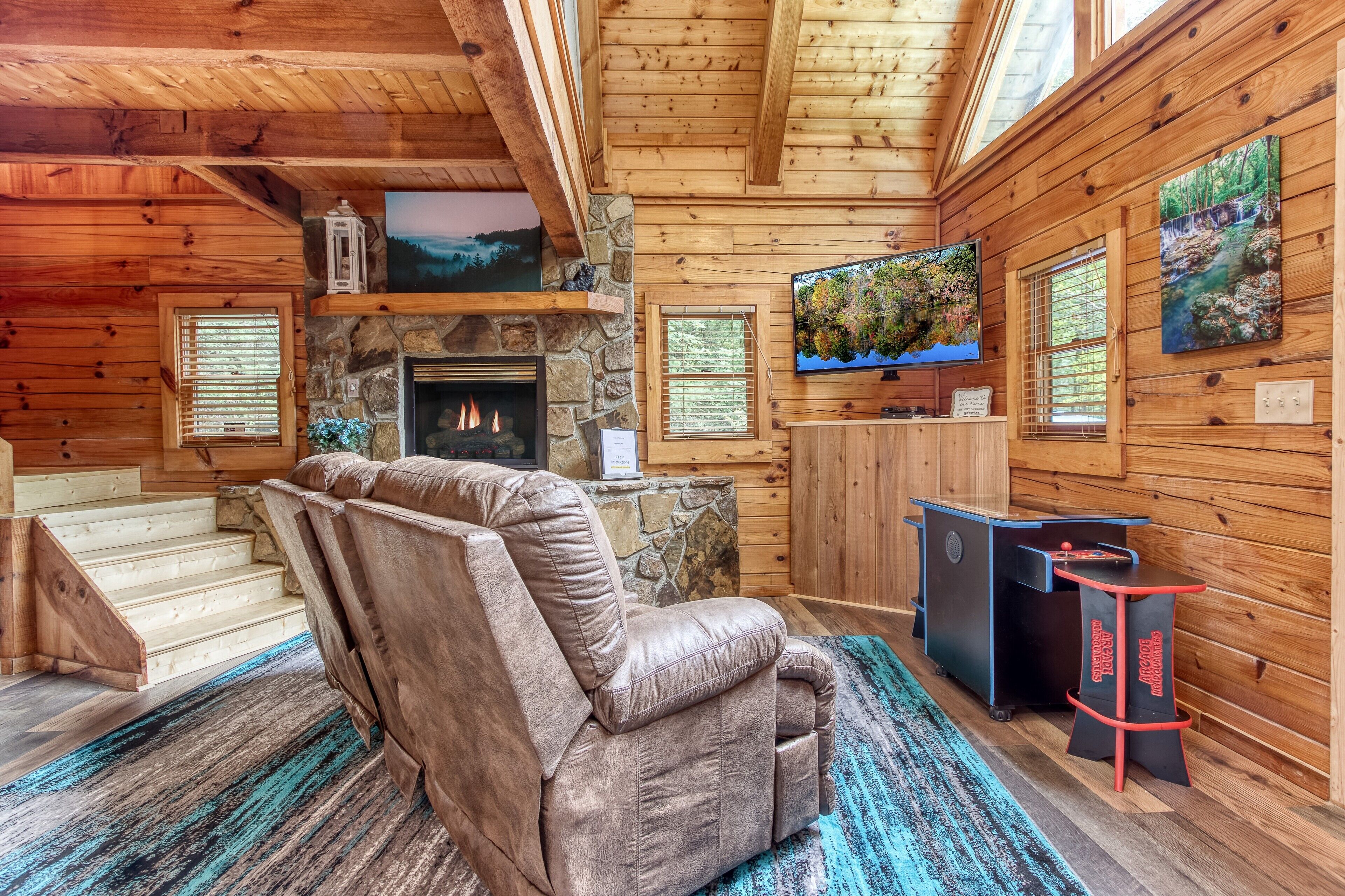 Fireplace, video games, DVD player