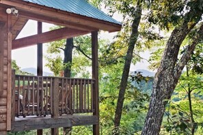 Property grounds - Above The Clouds is a perfect Smoky Mountain Getaway for the family or 2 couples! (Sevierville)