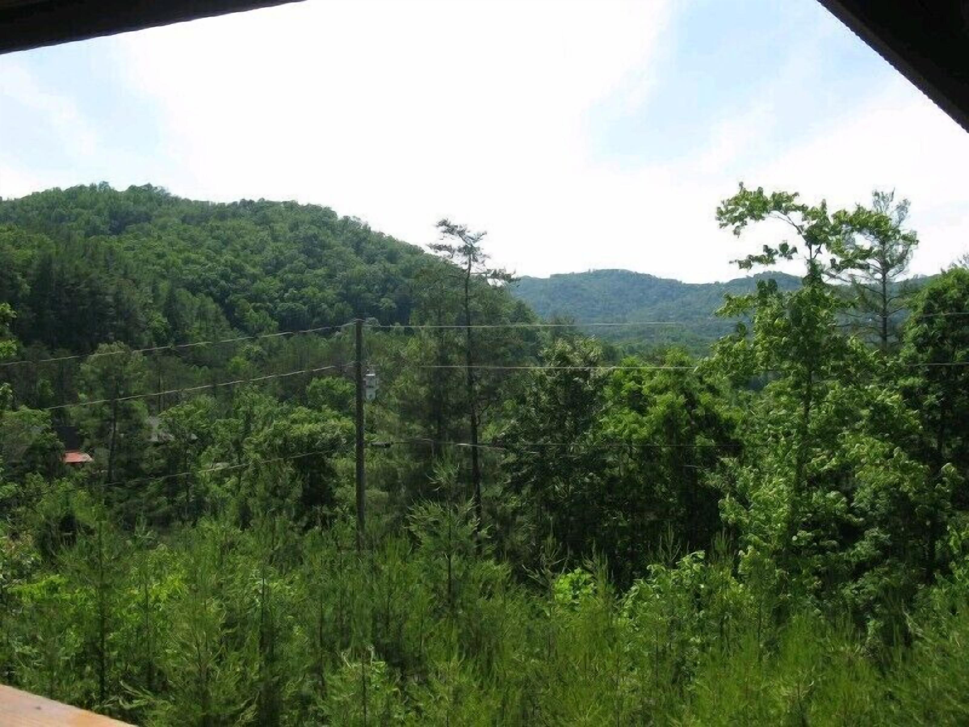 Vista de un paisaje exuberante y verde con vegetación densa y colinas al fondo.