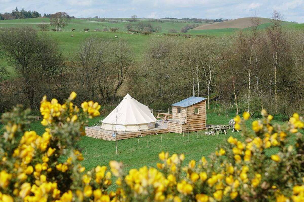 Tenda Luxury, cucina, vista montagna (Arenig) | 1 camera, biancheria da letto di alta qualità, con stile personalizzato